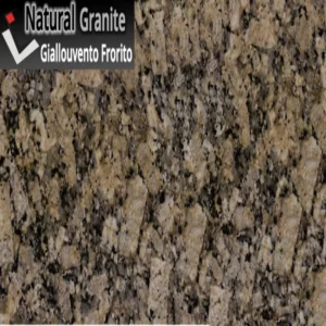 Natural Granite Stone - Giallouvento Frorito
